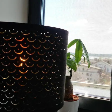 Global View Бухарест