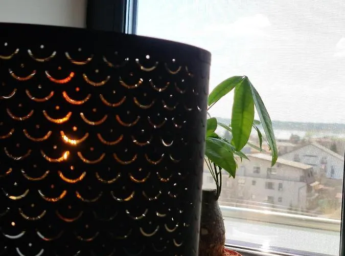 Global View Bukurešť